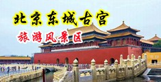 黄片啊啊疼好疼太粗了视频。中国北京-东城古宫旅游风景区